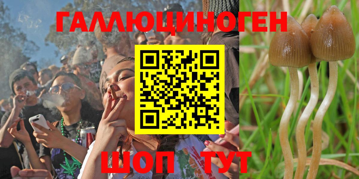Жигулёвск  Псилоцибиновые грибы прущие грибы  где продают наркотики  Вход с VPN 